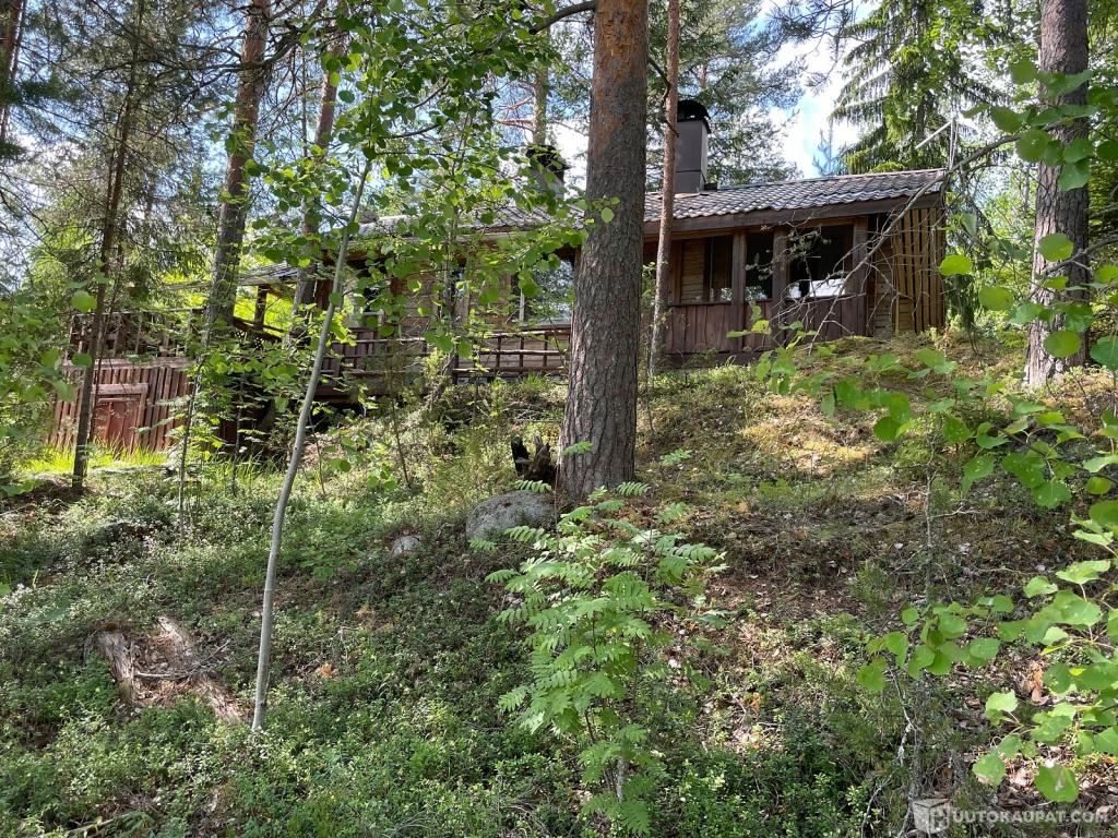 Mökki 46 m², sauna 10 m² sekä muita rakennuksia 0,74 hehtaarin tontilla.  Runsas irtain sisältyy huutokauppaan.